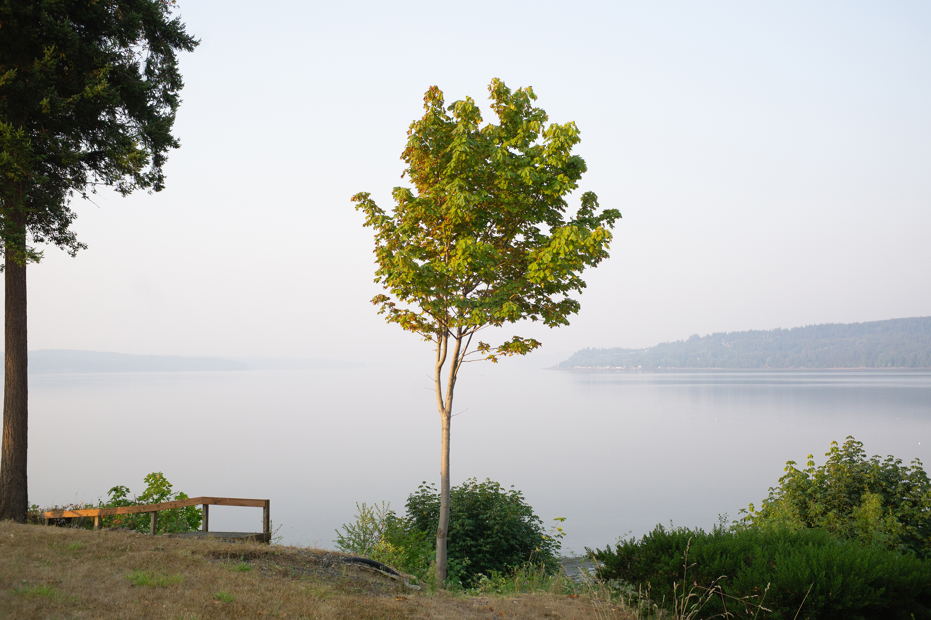 Hood Canal, Washington State, 2023