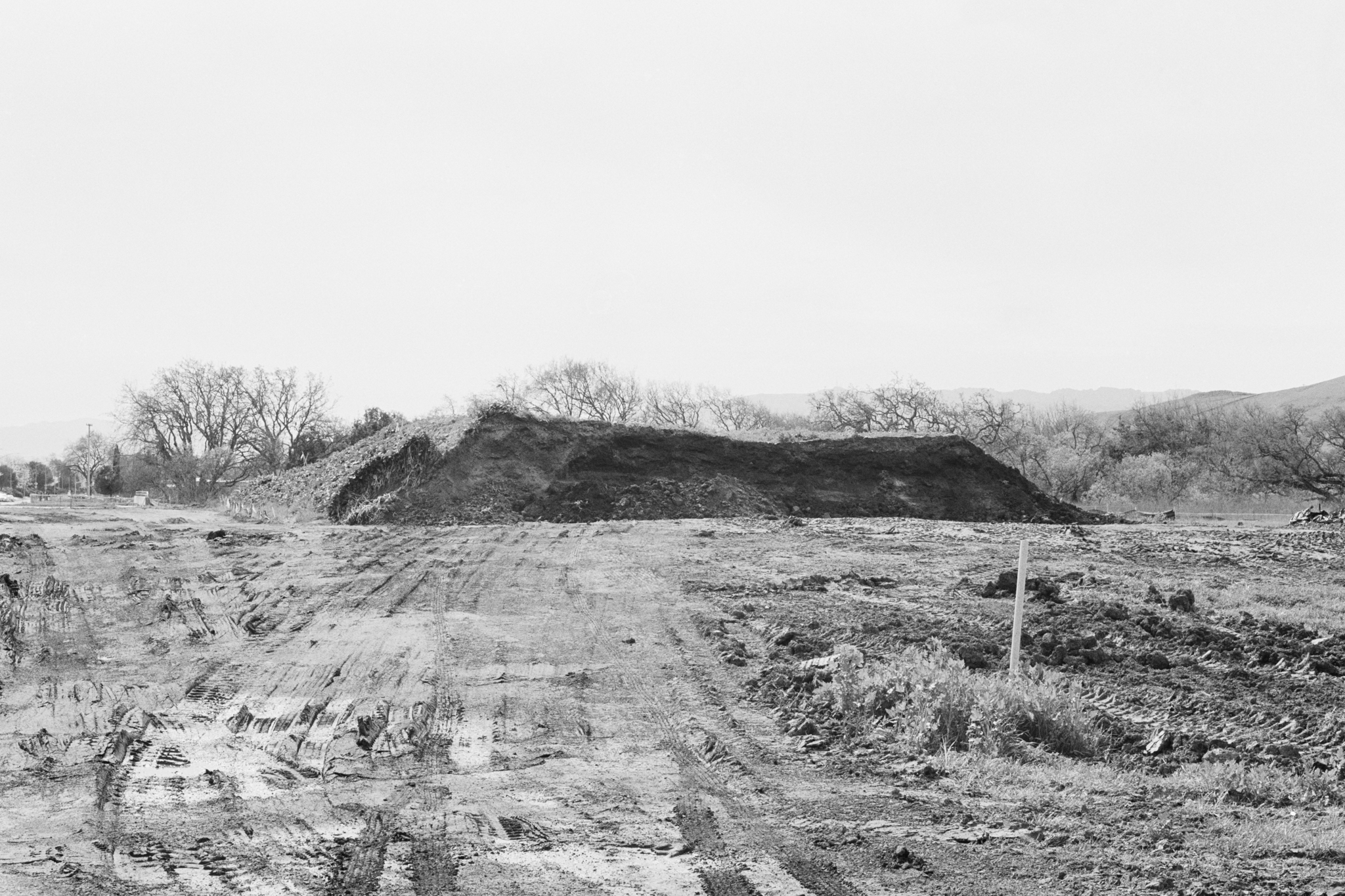 Quarry Road No. 039, 2017