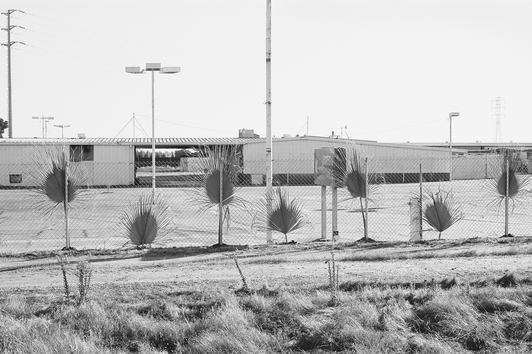Outside Sanger, California, 2017